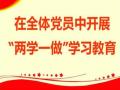 我院师生党员组织开展“两学一做”学习教育