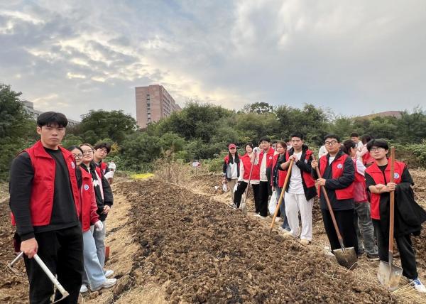 "C:\Users\王洁\Desktop\图片2600.jpg"