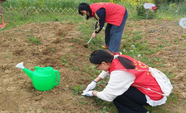 "C:\Users\gy111\Desktop\图片3600.jpg"